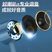 轲朋 有线耳机typec接口入耳式适用华为小米数字高音质k歌