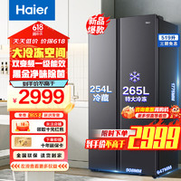 Haier 海尔 BCD-519WLHSSEDX9 519升 双循环双变频冰箱