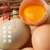 雀淘 鲜蛋绿壳蛋谷物土鸡蛋混合装45g*20枚农家散养青皮乌鸡蛋早餐