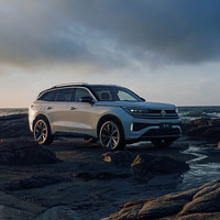 FAW-VOLKSWAGEN 一汽-大众 揽巡 24款 众享款 330TSI 两驱豪华巡逸版