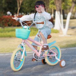 88vipforever永久儿童自行车365岁以上女孩宝宝带辅助轮粉色脚踏单车