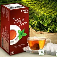 LIONS 狮 原装进口斯里兰卡锡兰红茶叶独立包装袋泡茶包盒装办公下午茶25袋