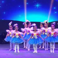六一儿童演出服快乐的小星星蓬蓬裙纱裙幼儿园舞蹈服装公主裙女童