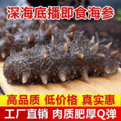 七叶岛大连即食海参1318只一袋独立包装