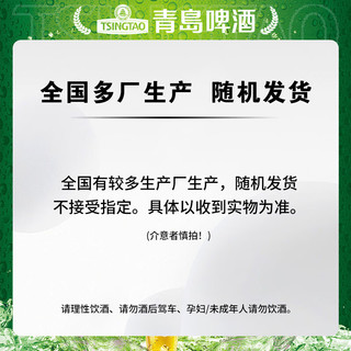 青岛啤酒（TsingTao）狮壮琥珀拉格精酿高端系列 380ml*12瓶 整箱装 春日出游 狮壮拉格 380mL 12瓶 整箱装