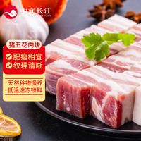 中潤長江 豬五花肉塊1kg  冷凍免切帶皮