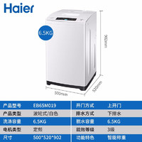 Haier 海尔 洗衣机 6.5公斤 小神童大容量洗衣机家用全自动波轮省水省电