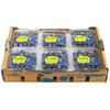 现摘新鲜蓝莓  6盒125ML/盒 单果12-15MM