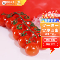 鹤农益得 红串番茄串收水果自然成熟新鲜蔬菜小西红柿酸甜整串生吃车厘串198g*2盒 396g