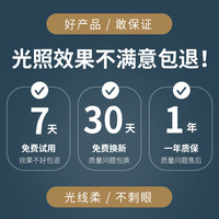 弥伦LED化妆镜高清补光桌面台式壁挂带灯折叠便携美妆镜镜子