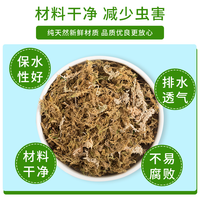干苔藓水苔青苔兰花蝴蝶兰石斛种植营养土乌龟垫材养花鲜活