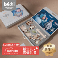 凯驰 婴儿安抚礼盒毛绒玩具摇铃玩偶0-1岁满月宝宝哄睡物套装 kaichi毛绒安抚礼盒