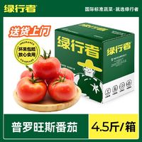 百億補貼：GREER 綠行者 普羅旺斯番茄4.5斤新鮮西紅柿沙瓤多汁生吃自然熟水果