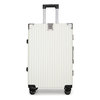 BONZEMON 商务出行套装箱包组合 双肩背包+22英寸行李箱