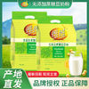 维维 无添加蔗糖豆奶粉500g*2袋高蛋白健康营养早餐豆奶独立包装