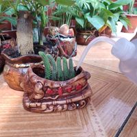 多肉弯嘴壶浇花浇水工具洗瓶喷壶家用尖嘴喷花瓶长嘴浇水壶