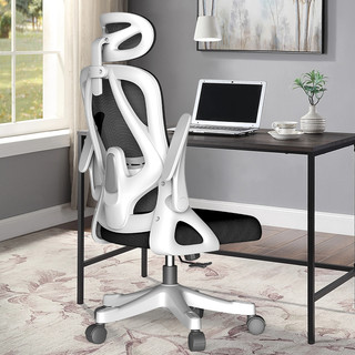 仰林 电脑椅家用人体工学椅久坐书桌学习靠背椅子办公椅学生宿舍椅座椅
