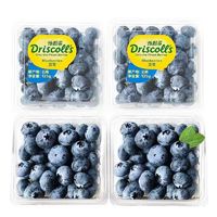 莫小仙 精品新鲜蓝莓 12盒125G/盒 12-15MM单果