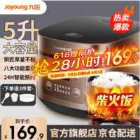 Joyoung 九阳 Y-60C816 电压力锅 6L