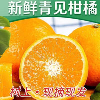 挽刻 四川青见果冻橙 特级大果当季时令新鲜水果青见果冻橙 9斤中果24枚内