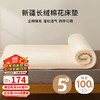 OBXO 源生活 棉花床垫床褥 双人家用棉花褥 加厚四季软褥可折叠床垫 150x200cm