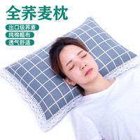 林夕一晨 全棉老粗布全荞麦壳枕头睡眠专用枕头深度颈椎枕芯护枕套荞麦皮
