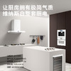 Neifo 内芙 Q700W抽油烟机欧式顶吸大吸力自动清洁家用厨房白色