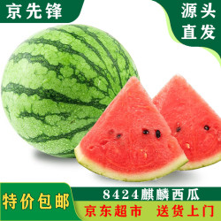 京先锋麒麟西瓜头茬8424大西瓜1粒装单果3kg以上新鲜水果源头直发