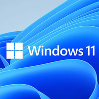 Microstar 微软之星 微软正版Win11系统（直接安装在主机上发出）单拍不发 微软正版Win11系统（单拍不发）