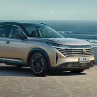 NISSAN 东风日产 Pathfinder 探陆 24款 2.0T 两驱智悦版 6座