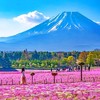 可选小团！日本东京富士山一日游忍野八海河口湖温泉旅游跟团游