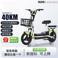 雪辰 新国标电动车成人电动自行车48V12A男女士助力小型长续航 绿色[新国标可上牌可提取电池] 48V12A天能