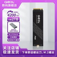 GeIL 金邦 P4H 2TB 固态硬盘4.0笔记本NVME协议台式机接口SSD