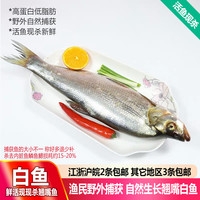 品鲜肴淡水鱼生态翘嘴鱼白鱼/翘嘴鲌大白刁鱼自然捕获鲜活现杀生鲜水产 500g /条（活鱼称重非净重）