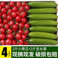 百亿补贴：农卡圣女果水果小黄瓜新鲜西红柿子樱桃番茄千禧青瓜生吃2/4斤