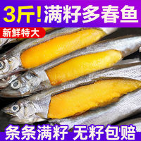 百亿补贴：北海湾 海湾 多春鱼满籽新鲜多籽鱼冷冻鲜活500g*3袋