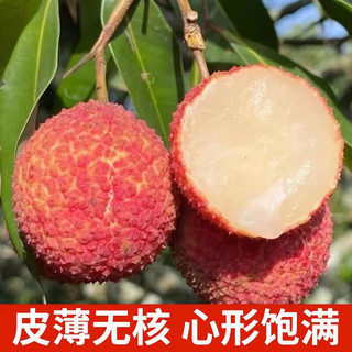 陆侨无核荔枝（LUQIAO SEEDLESS LITCHI）海南无核荔枝新鲜 无籽鲜荔枝5斤海南应当季水果陆桥现摘礼盒 2000g 精品果