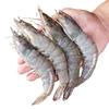 海头海州湾 厄瓜多尔白虾 3.3斤盒装