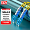 shengwei 胜为 FSC-507 电信级光纤跳线 优质进口插芯 LC-LC网线单模双芯 收发器尾纤 10米