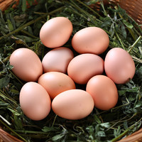 宛味宝 降价了！土鸡蛋20枚新鲜鸡蛋农家散养