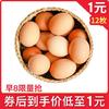 云依禾农庄 粉皮散养草鸡蛋约40g鲜鸡蛋 12枚