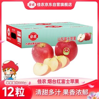 红富士苹果 12个 单果重180-240g