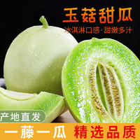 谷优珍山东玉菇甜瓜 新鲜水果产地直发 5斤精品果净4.5斤