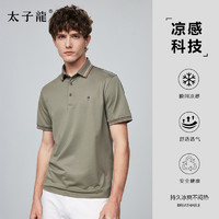 TEDELON 太子龍 太子龙夏季新款短袖polo衫男士高端商务速干半袖T恤