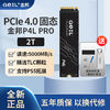 GeIL 金邦 P4L 2TB 固态硬盘M.2 PCIe 4.0 NVME协议接口高速传输SSD