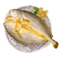 三都港 鲜冻醇香黄鱼鲞155g*8条 宁德黄花鱼 源头直发 生鲜 鱼类 水产