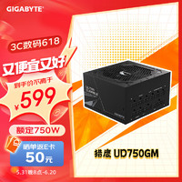 GIGABYTE 技嘉 IGABYTE 技嘉 750GM 金牌（90%） 全模组ATX电源 750W