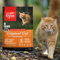Orijen 渴望 猫粮美国进口成猫幼猫通用型无谷低敏鸡肉猫粮5.4kg*2