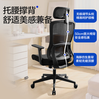 YANXUAN 网易严选 小海豚人体工学椅 黑框+头枕+三档后仰（升级款）