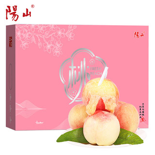 无锡阳山水蜜桃2.5kg 单果300g+ 8个 水果桃子礼盒源头直发包邮
